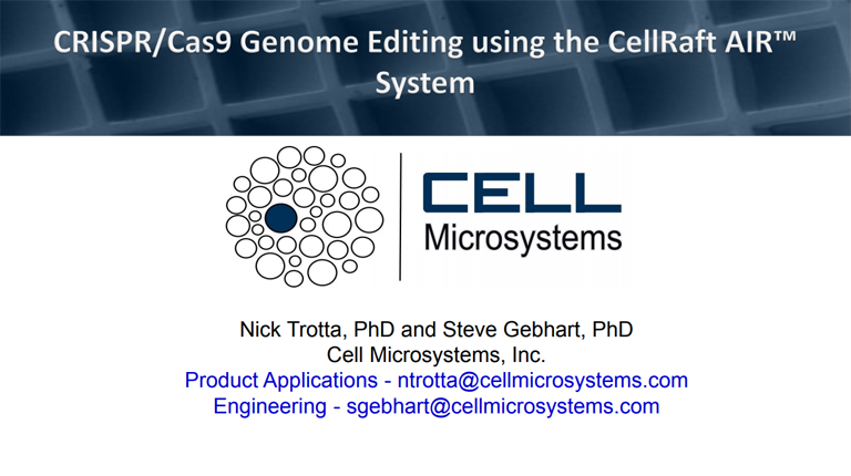 webinar snapshot2