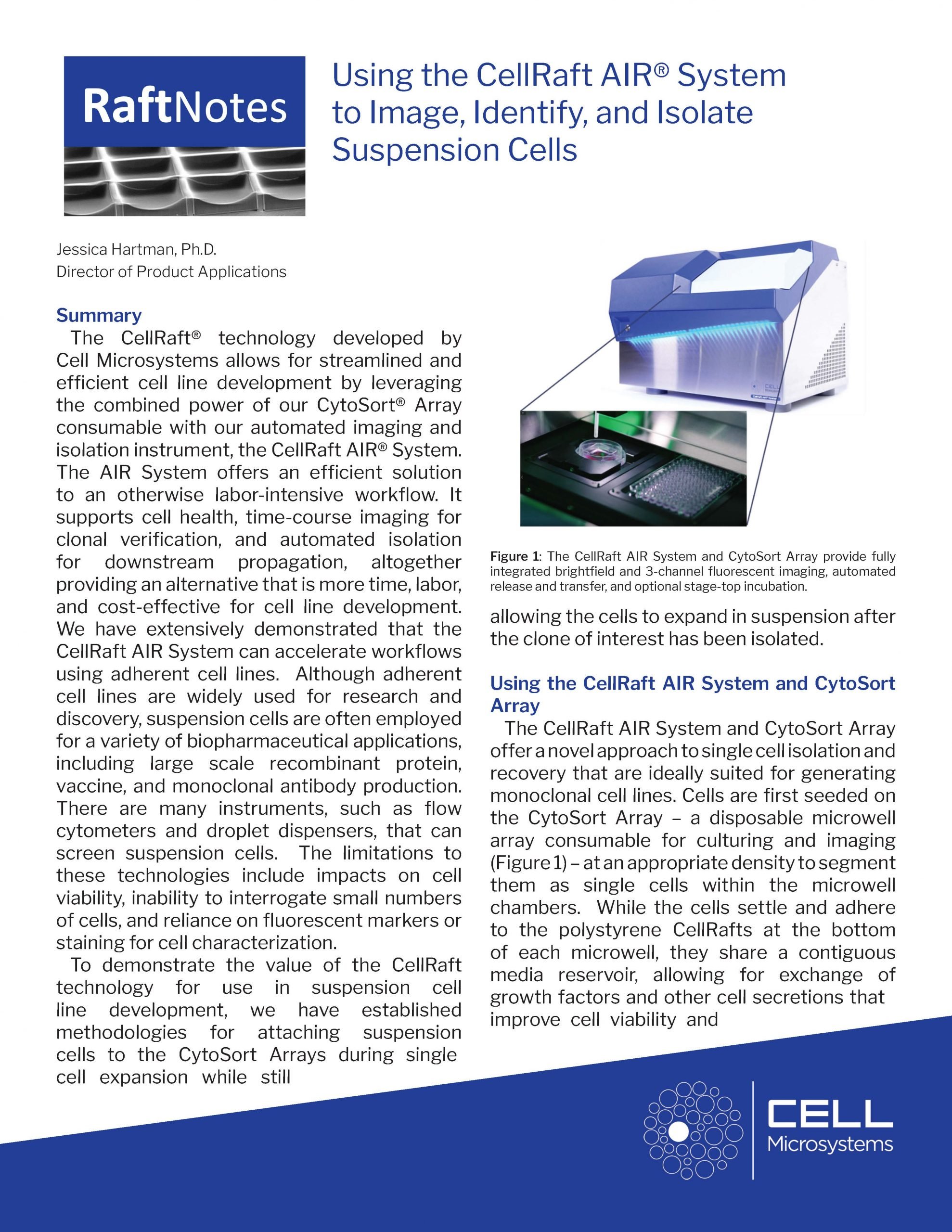 Front Suspension Cells RaftNote scaled