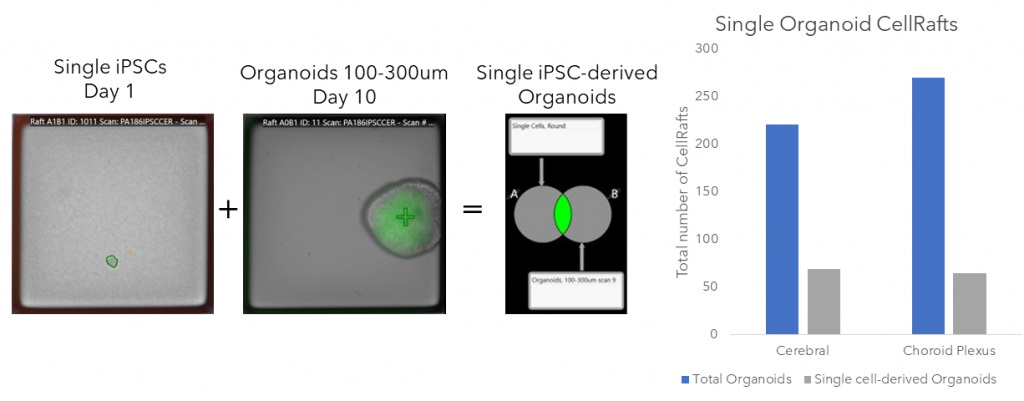 Slide4