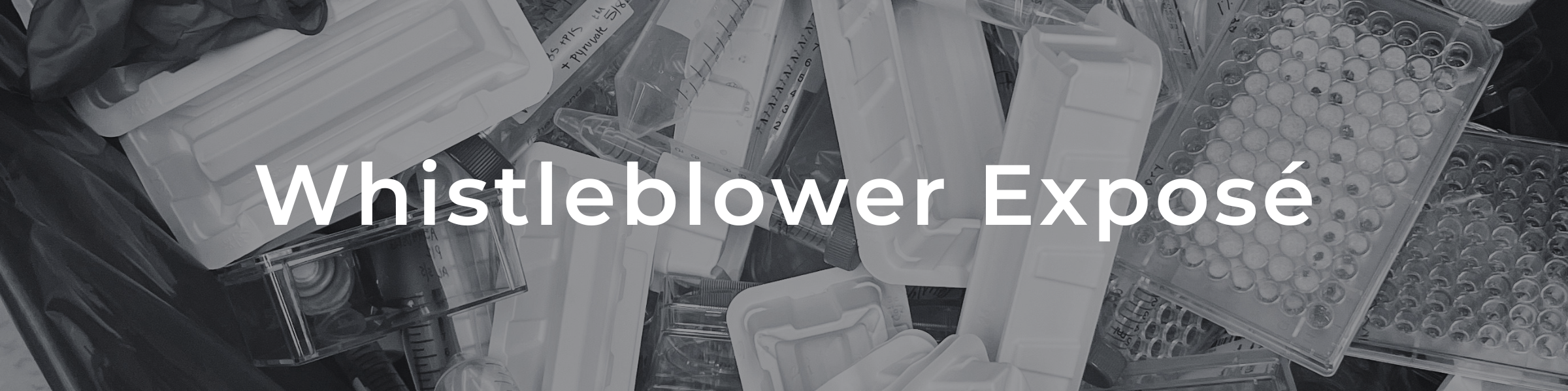 Website headers5
