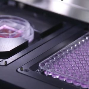 CellRaft technology
