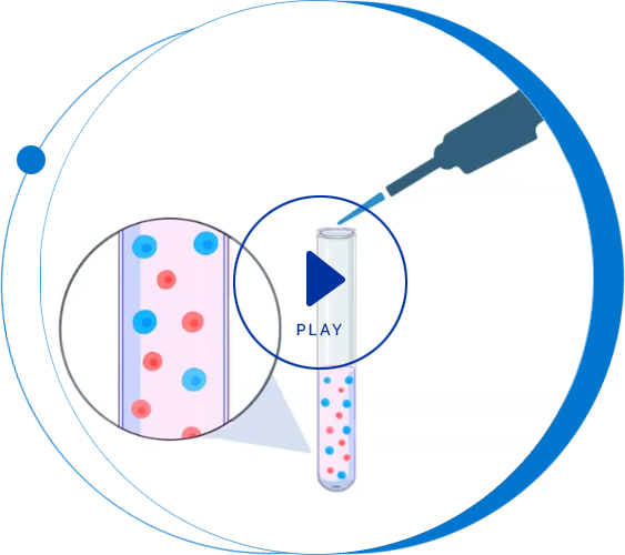 video thumbnail cellraft