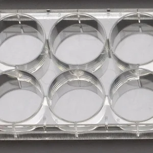 BioFlux 1000HT 6-well Plates