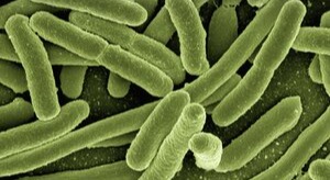 med device infections