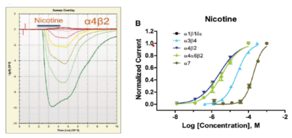 Nicotine graph chart 600x284 1