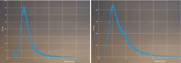 casy bacteria merge modify