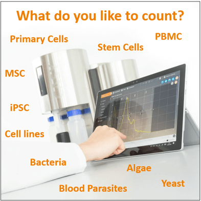 casy what do you like to count