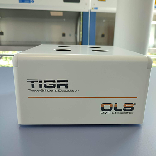 tigr 1