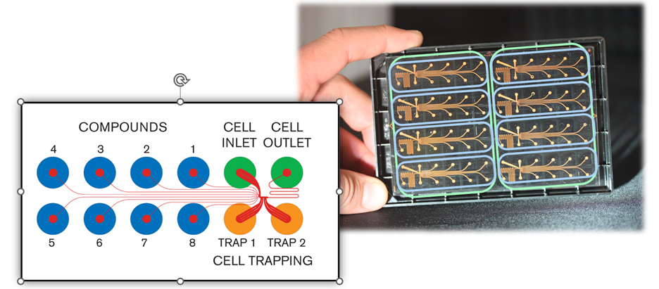 IonFlux plate setup