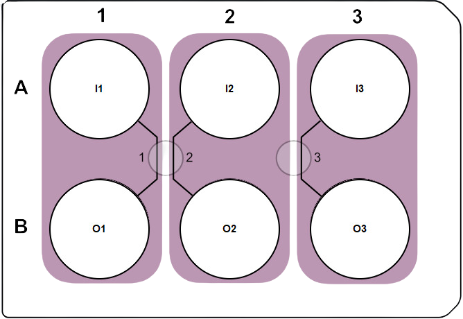 BioFlux 6 well plate