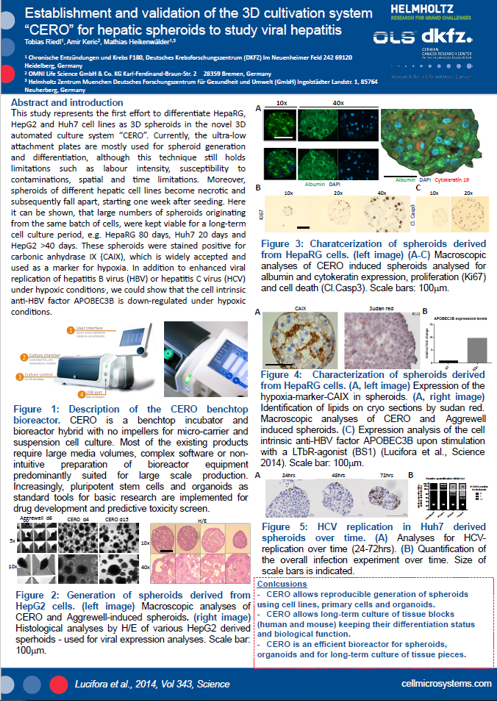 Establishment and validation of the 3D cultivation system thumbnail