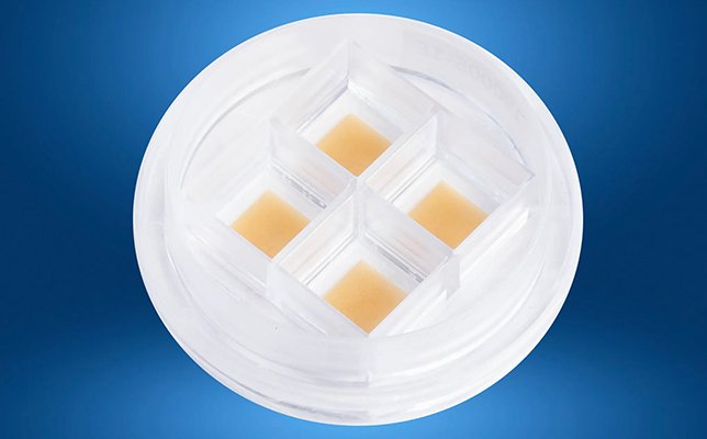 thumbnail CellRaft Quad Array