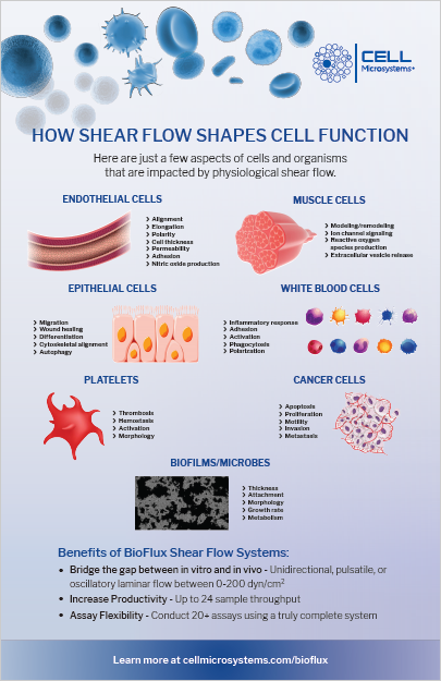 2025 Shear flow infographic