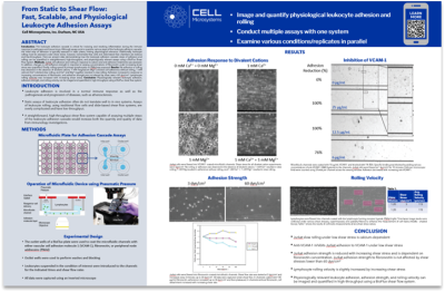 Cell adhesion poster thumbnail