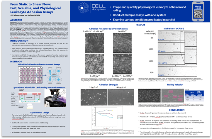Cell adhesion poster thumbnail