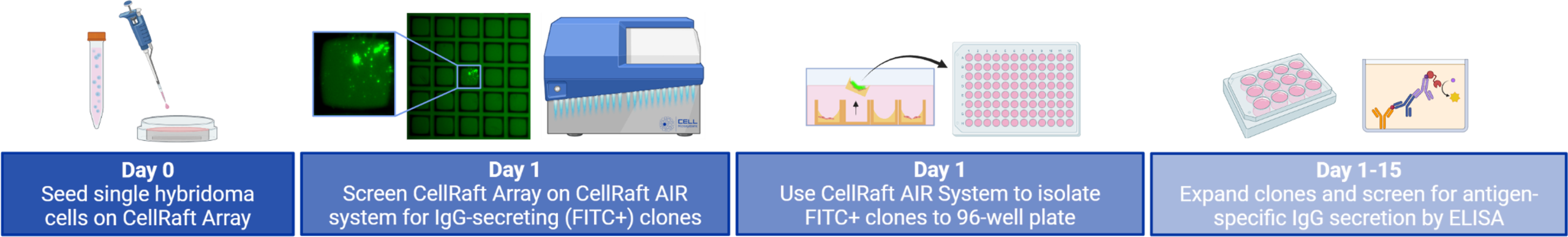Antibody Applications Hybridoma scaled