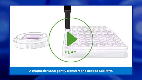 antibody applications video play